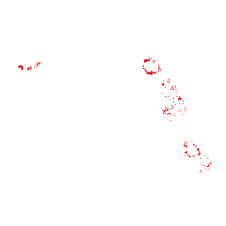 Field Ursuin Cub Spawns