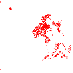 Gold Phyntos Wasp Spawns