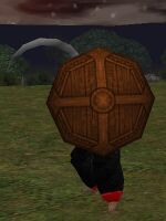 Bronze Round Shield (Equipped)