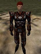 Celdon Shadow Armor