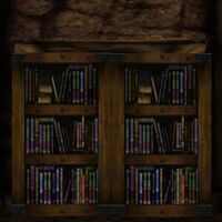 Bookcase at the beginning of the dungeon